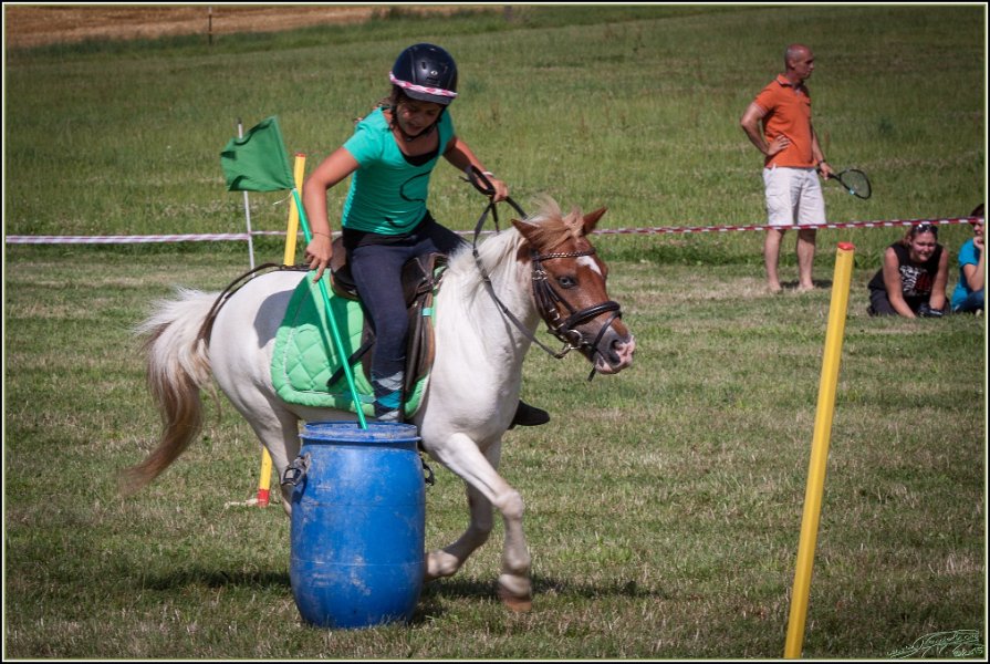 Mounted Games 298